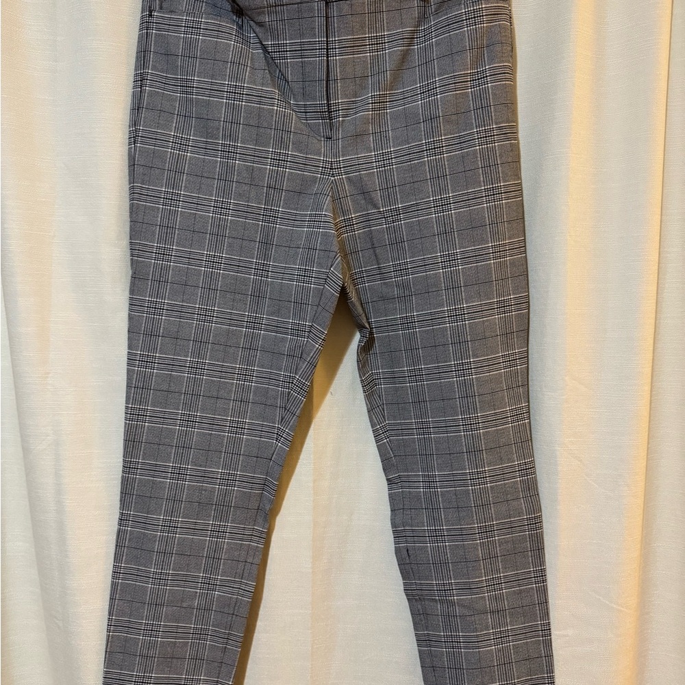 LOFT Suit Pants Size 14 NWT